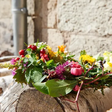Lemon Tree Ferienhaus Rieden (Mayen-Koblenz)