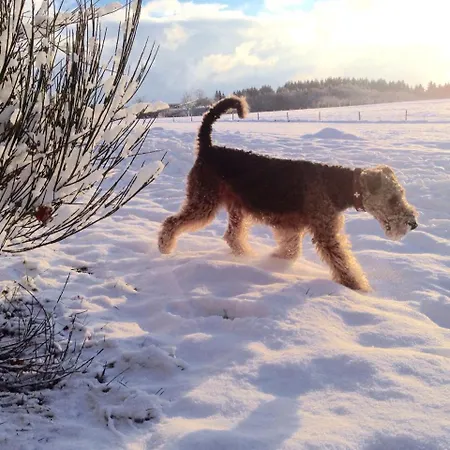 Lemon Tree Ferienhaus *
