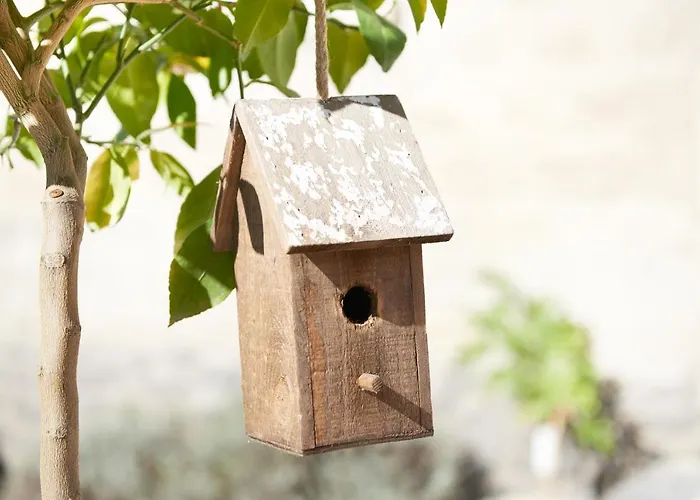 Lemon Tree * Rieden (Mayen-Koblenz)