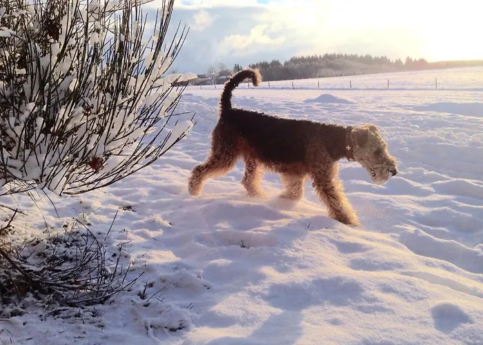 Lemon Tree בית נופש *