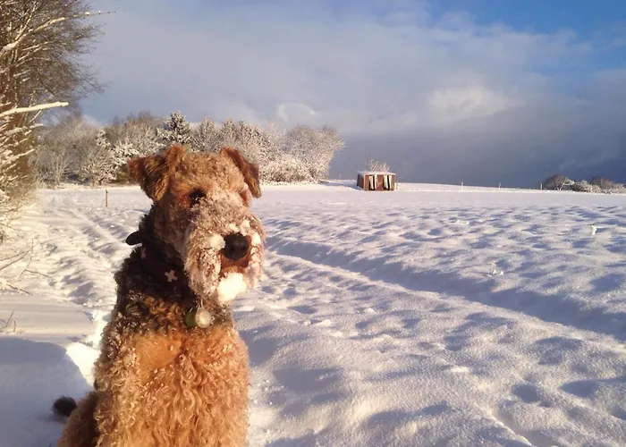 בית נופש Lemon Tree *