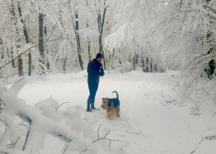 Lemon Tree בית נופש Rieden (Mayen-Koblenz)