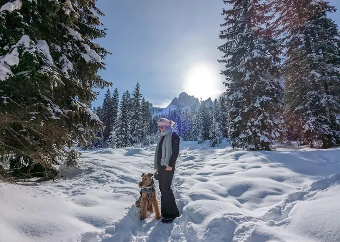 בית נופש Lemon Tree Rieden (Mayen-Koblenz)